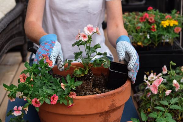 Plant Care Service in Eden Prairie
