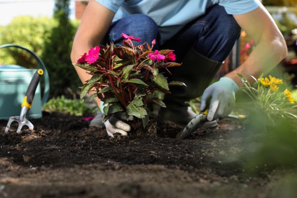 Plant Installation in Eden Prairie
