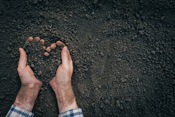 Soil Installation in Eden Prairie