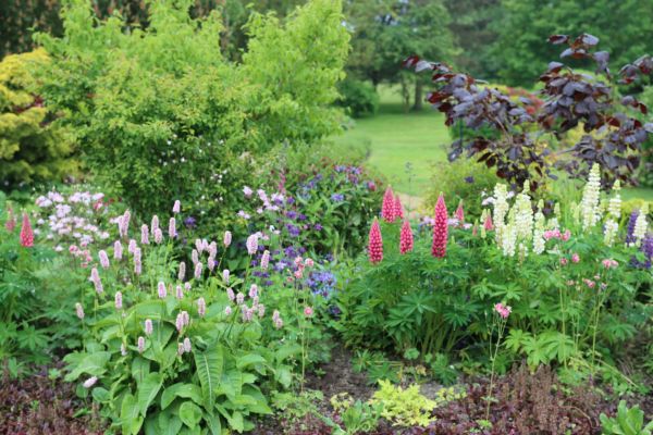 Flower Bed Planting in Eden Prairie