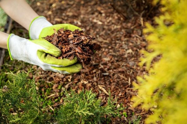 Garden Mulch Delivery in Eden Prairie