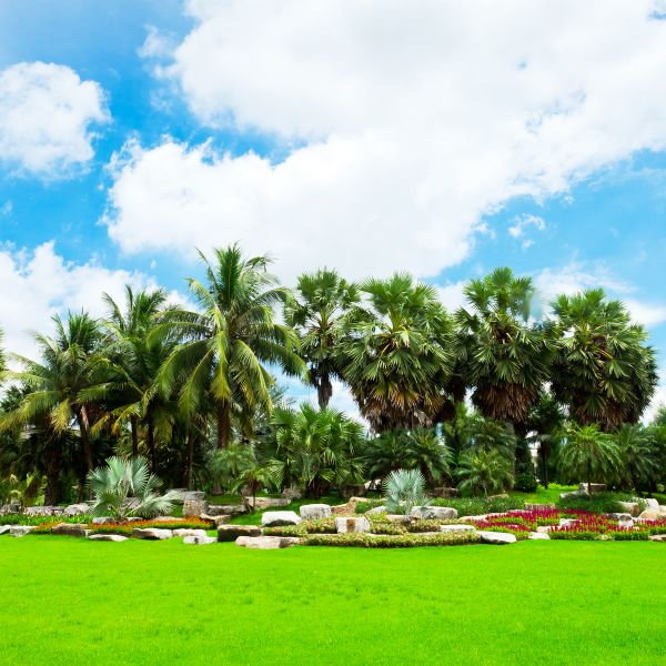 Tropical Landscaping in Eden Prairie