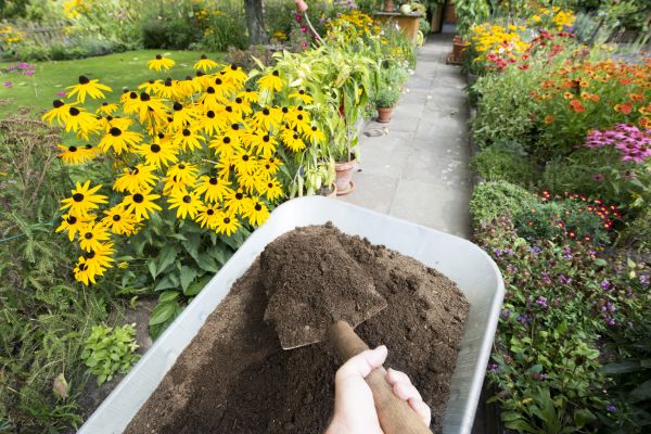 Topsoil Replacement in Eden Prairie