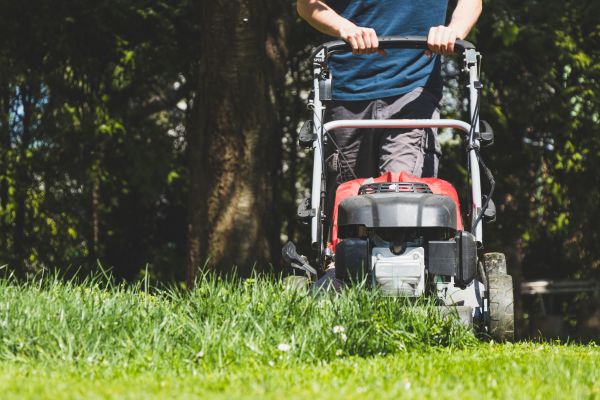 Garden Trimming Service in Eden Prairie