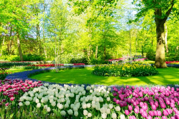 Flower Landscaping in Eden Prairie