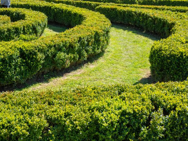Bush Landscaping in Eden Prairie