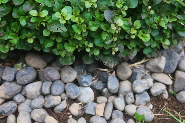 River Stone Installation in Eden Prairie