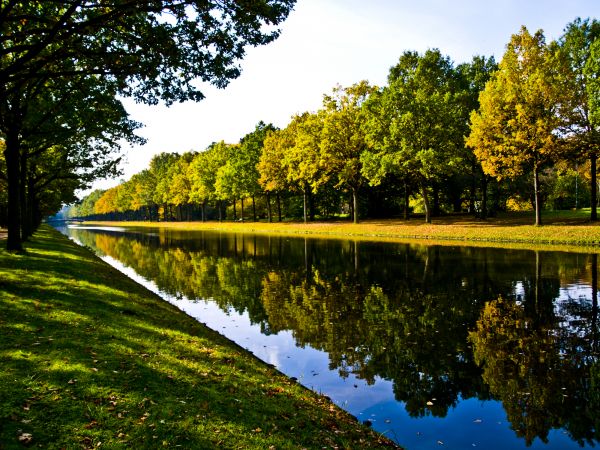 Bank Landscaping in Eden Prairie