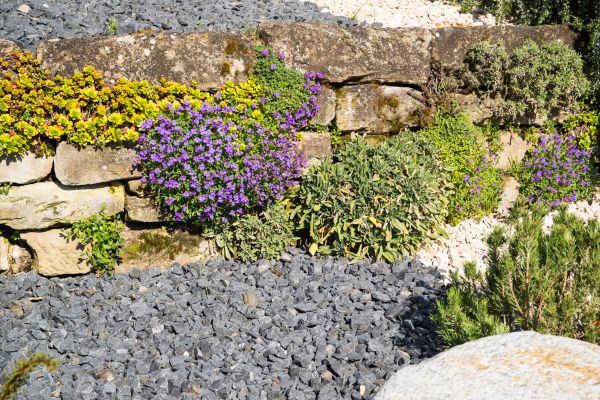 Landscaping Rocks Installation in Eden Prairie