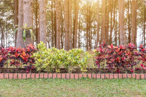 Small Garden Landscaping in Eden Prairie
